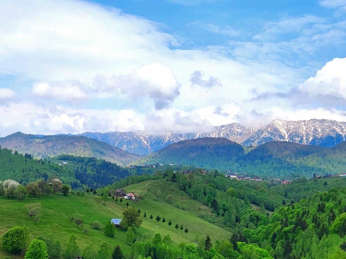 Willa Carpathia Magic -Adults Only Peştera Zewnętrze zdjęcie